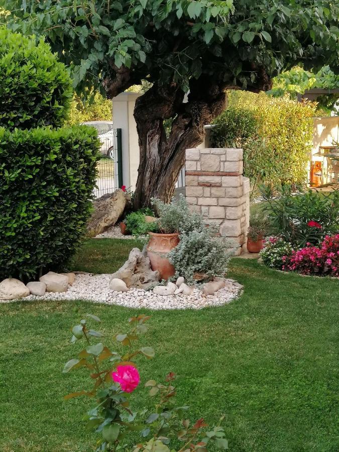 Vila Roza Umag