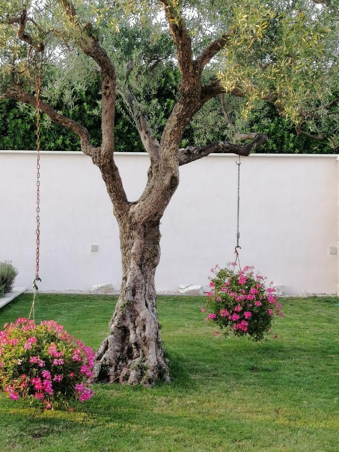 Vila Roza