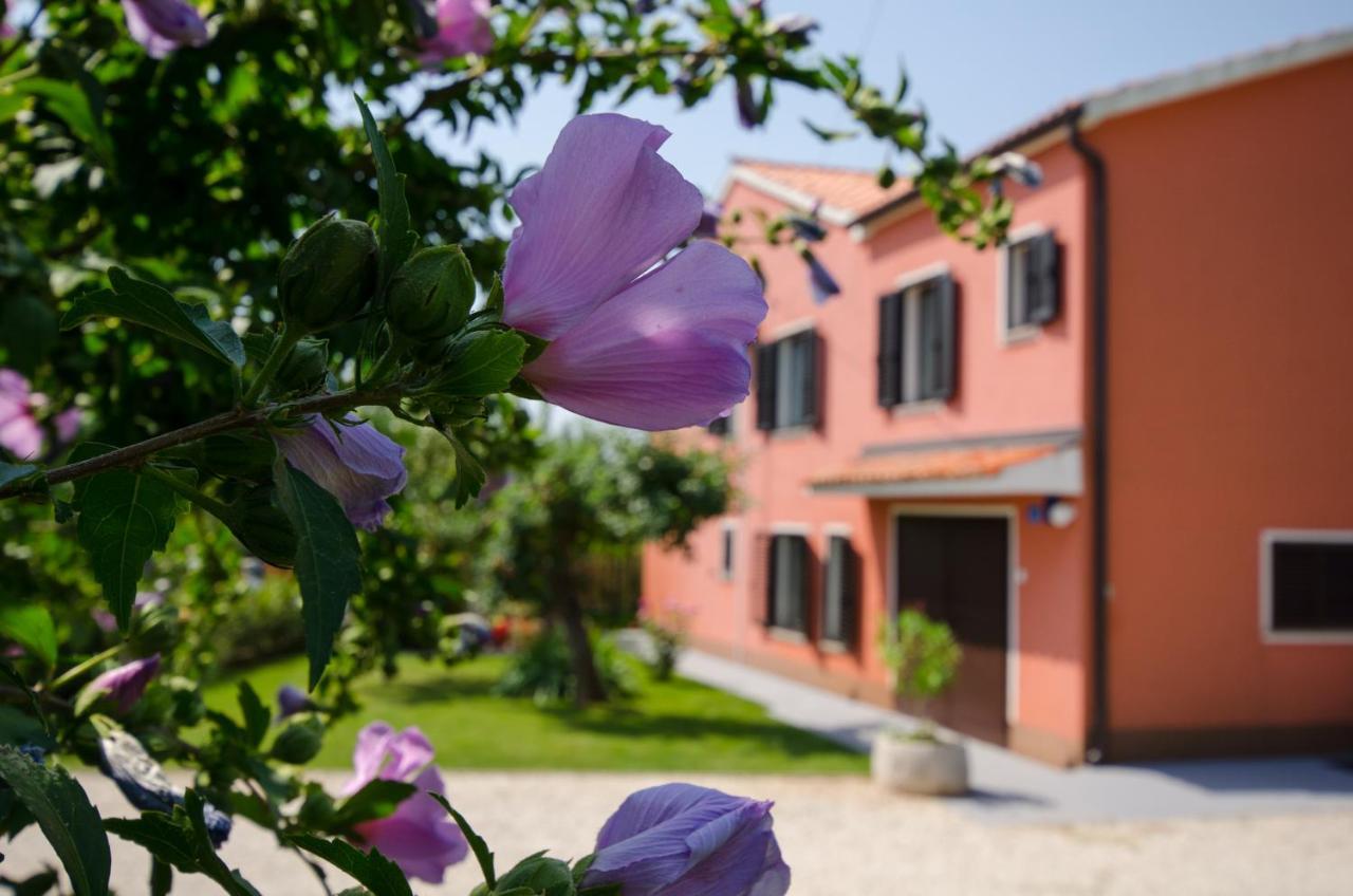 Vila Roza